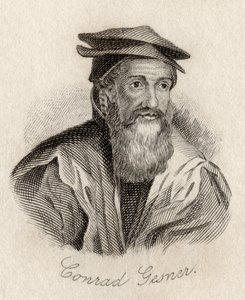 Conrad Gesner
